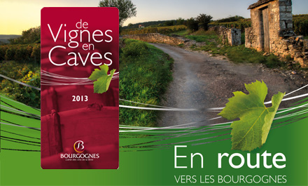 VIGNE EN CAVE
